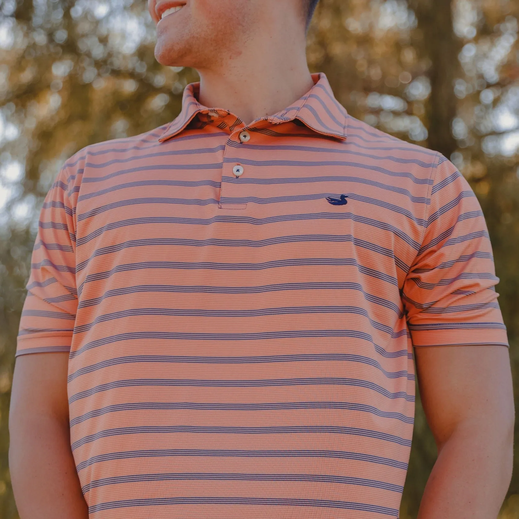 Bermuda Performance Polo - Panama Stripe